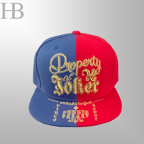 Two color Snapback Cap